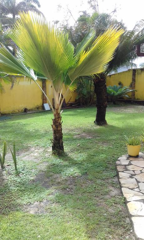Hotel Pousada Porto Do Colibri Pôrto das Galinhas Exterior foto
